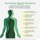 organixx-greens-superfood-powder-with-probiotic-di-6.jpg