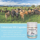 pack-of-2-hi-well-premium-100-pure-new-zealand-bov-3.jpg