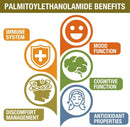 palmitoylethanolamide-with-luteolin-turmeric-micro-4.jpg