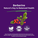 paradise-herbs-berberine-extract-500-mg-pure-poten-2.jpg