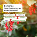 paradise-herbs-berberine-extract-500-mg-pure-poten-4.jpg