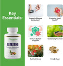 paradise-herbs-berberine-extract-500-mg-pure-poten-6.jpg