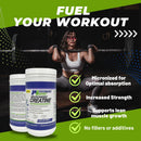 performance-inspired-nutrition-micronized-creatine-4.jpg