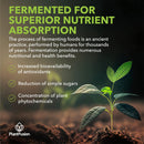 plantfusion-alkalizing-super-greens-powder---ferme-5.jpg