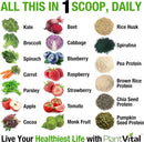 plantvital-bundle--vegan-protein-powder-chocolate--6.jpg