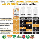 plantvital-organic-ashwagandha-capsules-with-black-4.jpg