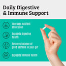 prebiotics-and-probiotics-lactobacillus-gasseri-lactobacillus-rhamnosus-plantarum-casei-bifidobacterium-longum-lactis-infantis-probiotic-prebiotic-pre-and-probiotics-for-digestive-health-2