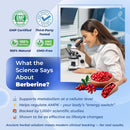premium-berberine-supplement-with-ceylon-cinnamon--5.jpg