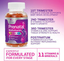prenatal-gummy-with-folic-acid-prenatal-vitamins-and-minerals-for-fetal-support-vitamin-a-c-d3-b12-b6-folate-prenatal-multivitamin-for-pregnant-nursing-women---120-gummies-60-day-supply-6