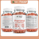 prenatalpostnatal-complex-supplement-vitamin-b6-b12-c-zinc-90ct-2
