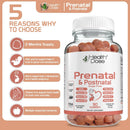 prenatalpostnatal-complex-supplement-vitamin-b6-b12-c-zinc-90ct-4