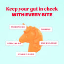 probiotic-gummies---fiber-gummie-for-adults-and-pr-6.jpg
