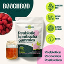 probiotic-kombucha-gummy---prebiotics-probiotics-postbiotics-fiber-supplement-slippery-elm-dandelion-root-mct-oil-for-bloating-gut-health---probiotics-for-women-probiotics-for-men-2
