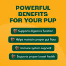 probiotics-for-dogs-with-prebiotics-fiber-chicory--2.jpg