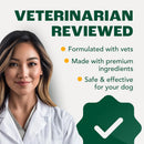 probiotics-for-dogs-with-prebiotics-fiber-chicory--3.jpg