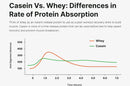protein-powder-whey-protein-isolate-vanilla-1-poun-6.jpg