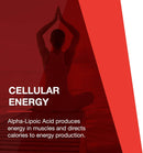 protocol-alpha-lipoic-acid-600mg---grape-seed-extr-4.jpg