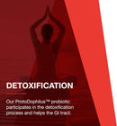 protocol-for-life-balance---protodophilus---50-bil-5.jpg