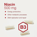 protocol-niacin-500mg---inositol-hexanicotinate---no-flush-niacin---vitamin-b3---energy-metabolism-support---vegan-kosher---90-veg-caps-2