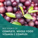 pure-essence-labs-whole-c-whole-food-vitamin-c---b-4.jpg