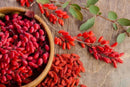 pure-original-ingredients-berberine-730-capsules-n-6.jpg