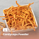 pure-original-ingredients-cordyceps-8oz-traditiona-3.jpg