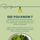 pure-wolffia-globosa-powder-high-protein-plant-bas-3.jpg