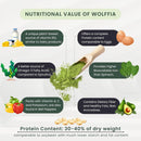 pure-wolffia-globosa-powder-high-protein-plant-bas-6.jpg