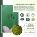 pure-wolffia-globosa-powder-high-protein-plant-bas-8.jpg
