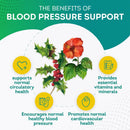 purepremium-blood-pressure-support-with-hawthorn-berry-hibiscus---nitric-oxide-with-vitamin-b6---garlic-supplements-for-normal-nitric-oxide-supplement---180-caps-1