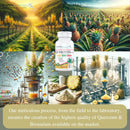 quercetin-plus-quercetin-1000mg-bromelain-500mg-an-5.jpg