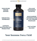 quicksilver-scientific-liposomal-vitamin-c-elderbe-3.jpg