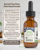 rawguru-methylfolate-1mg-vitamin-b12---organic-veg-3.jpg