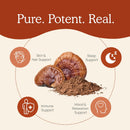 real-mushrooms-brain-vitality-immune-support-bundl-7.jpg