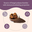 real-mushrooms-chaga-powder---organic-mushroom-sup-2.jpg