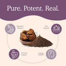 real-mushrooms-chaga-powder---organic-mushroom-sup-4.jpg