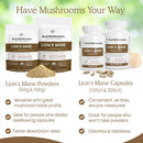 real-mushrooms-hot-chocolate-mix-15-servings-and-l-9.jpg