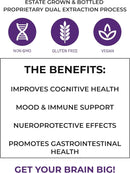 recognition-lions-mane-supplement--dual-extraction-3.jpg