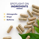 research-verified-ashwagandha-1500mg-maximum-strength-with-bioperine-and-ginger-root-enhance-cognitive-function---60-vegan-friendly-capsules-1-bottle-4