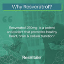 resvitale-resveratrol-250-mg---resveratrol-supplem-4.jpg