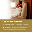 rooted-actives-lions-mane-mushroom-extract-powder--6.jpg