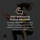 rsp-aminolean-recovery---post-workout-bcaas-amino--5.jpg