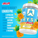ryse-loaded-pre-workout-powder---jell-o-island-pin-4.jpg