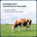 sandhus-bovine-colostrum-with-collagen-powder-hair-beauty-skin-nail-supplement-supports-gut-immune-health-digestive-enzymes-45-servings-large-pack-nutrition-for-women-2