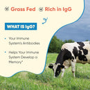 sandhus-grass-fed-bovine-colostrum-powder-for-humans-adults-65-servings-pack-of-1-cows-supplement-high-igg-for-gut-health-immunity-muscle-recovery-support-unflavored-for-men-women-6