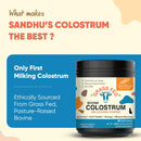 sandhus-grass-fed-bovine-colostrum-powder-for-humans-adults-65-servings-pack-of-1-cows-supplement-high-igg-for-gut-health-immunity-muscle-recovery-support-unflavored-for-men-women-8