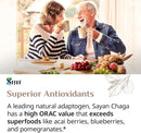 sayan-chaga-mushroom-extract-powder-1-lb-freeze-dr-9.jpg