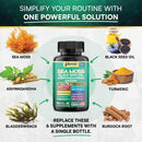 sea-moss-black-seed-oil-ashwagandha-turmeric-chlor-5.jpg