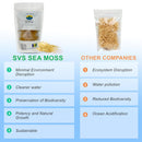 sea-moss-makes-22-oz-of-gel-wild-harvested-plant-b-5.jpg