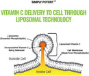 simply-potent-liposomal-vitamin-c-1500mg-supplemen-4.jpg